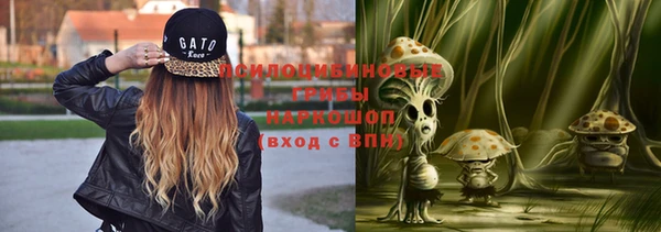 apvp Ростов