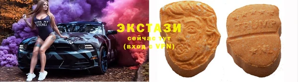 тгк Дубна