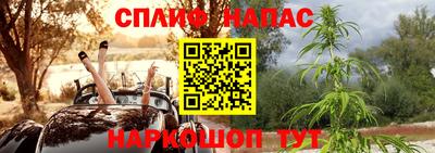 молекула духа Гагарин