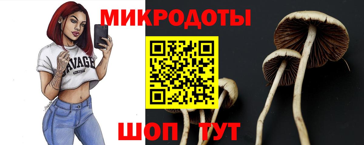 Псилоцибиновые грибы прущие грибы Алушта